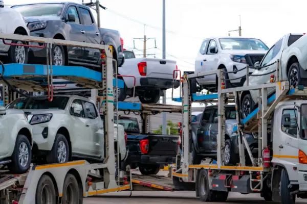 Why do need people need snowbirds car shipping?